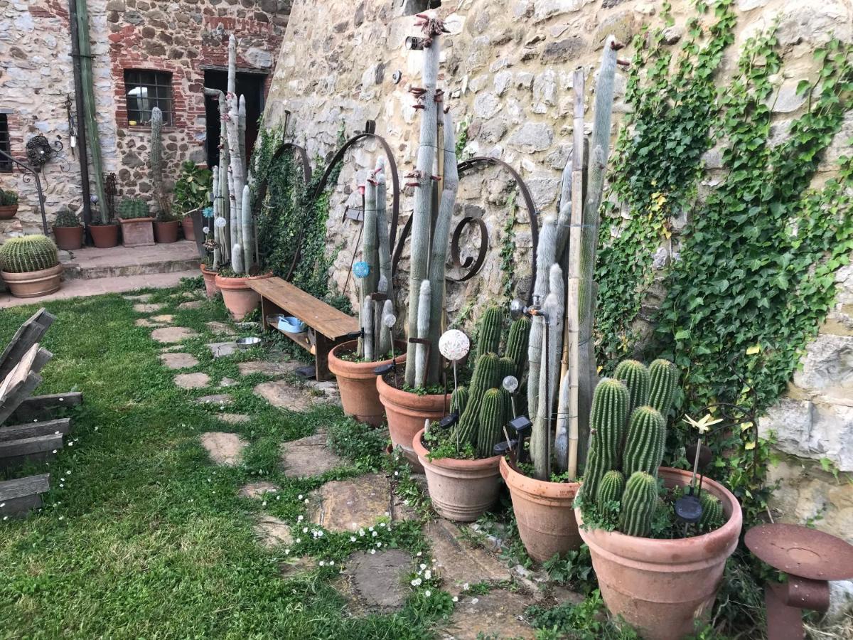 Case Di Vetulonia Castiglione della Pescaia Εξωτερικό φωτογραφία