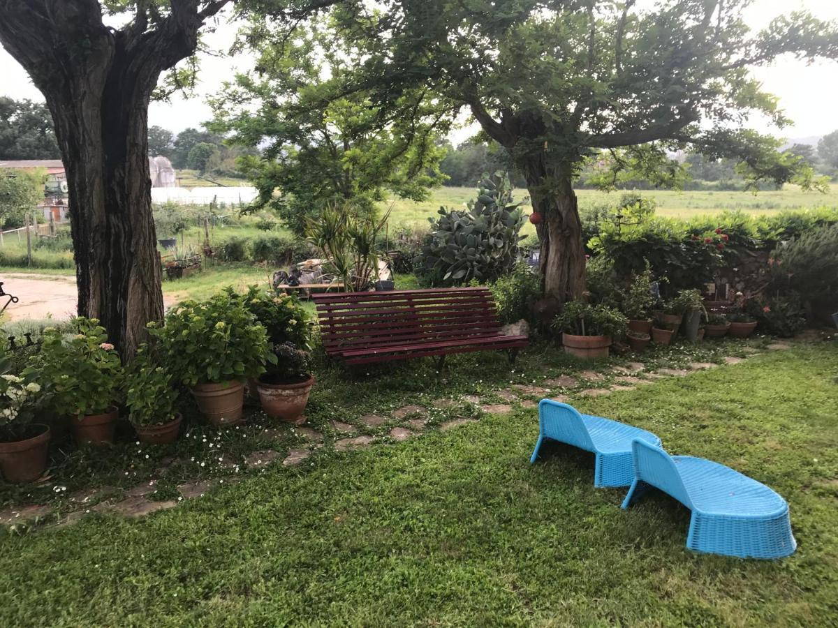 Case Di Vetulonia Castiglione della Pescaia Εξωτερικό φωτογραφία